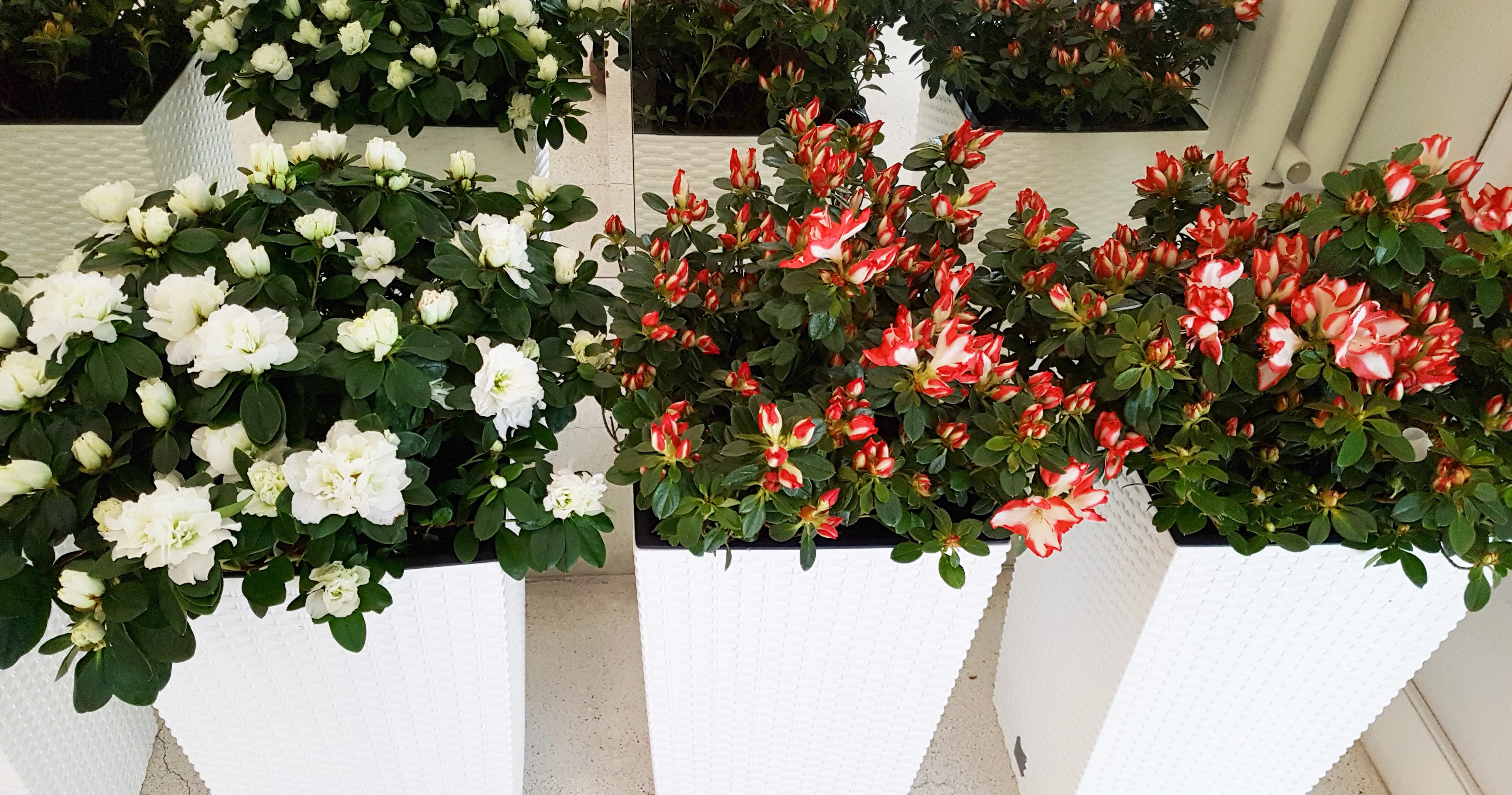 Оформление мероприятий