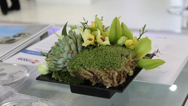 Растения в оформлении выставочных стендов