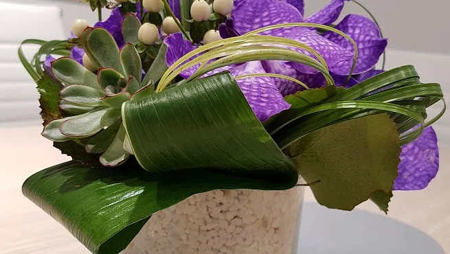 Растения в оформлении выставочных стендов