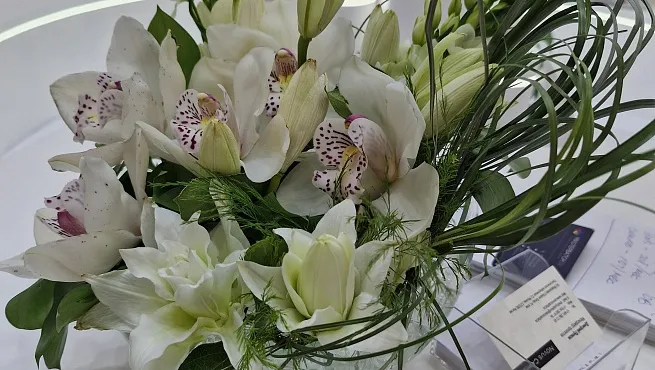 Растения в оформлении выставочных стендов