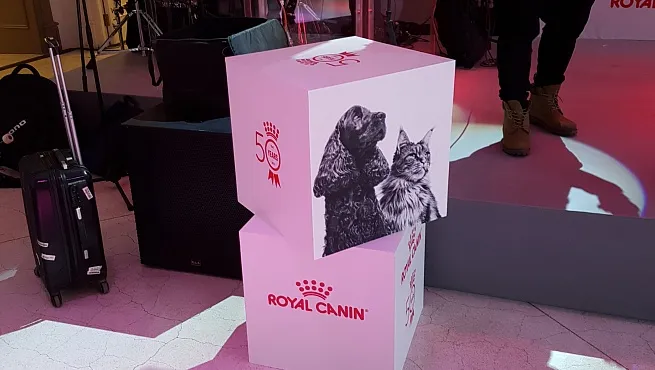 Оформление коммерческих мероприятий