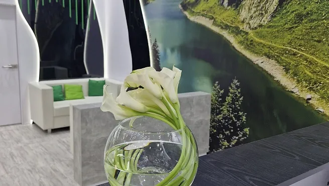 Армо-системы