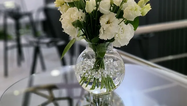 Растения в оформлении выставочных стендов