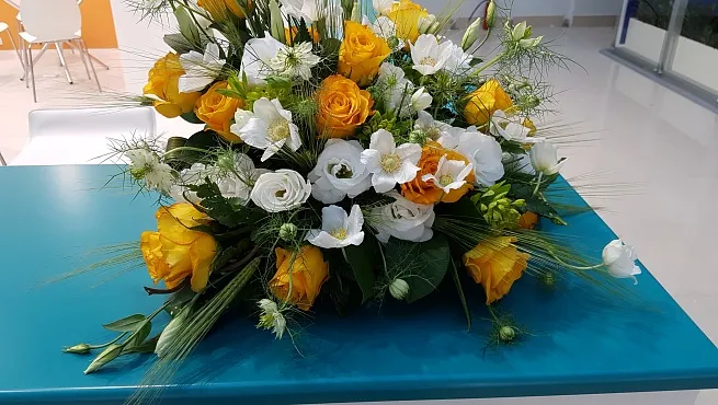 Растения в оформлении выставочных стендов