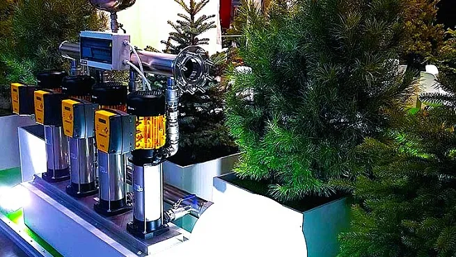 Растения в оформлении выставочных стендов