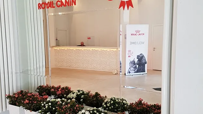 Оформление коммерческих мероприятий