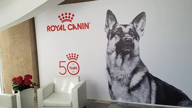 Оформление коммерческих мероприятий